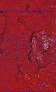     NOAA 18 