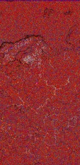     NOAA 18 