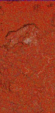     NOAA 18 