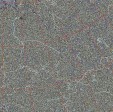     NOAA 18 
