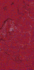     NOAA 18 