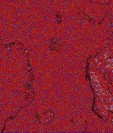     NOAA 18 