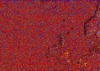     NOAA 18 