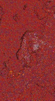     NOAA 18 