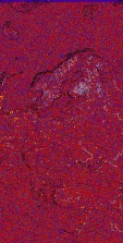     NOAA 18 