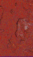    NOAA 18 