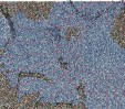     NOAA 18 