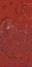     NOAA 18 