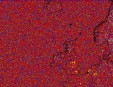     NOAA 18 