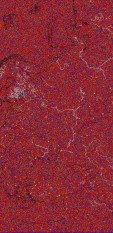     NOAA 18 