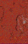     NOAA 18 