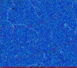     NOAA 18 