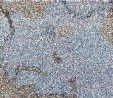     NOAA 18 