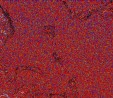     NOAA 18 