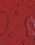     NOAA 18 