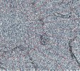    NOAA 18 