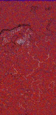     NOAA 18 