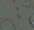     NOAA 18 