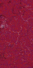     NOAA 18 