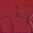     NOAA 18 