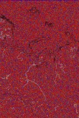     NOAA 18 