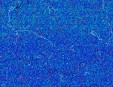     NOAA 18 