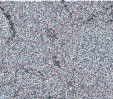     NOAA 18 