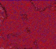     NOAA 18 