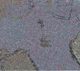     NOAA 18 