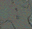     NOAA 18 