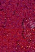     NOAA 18 