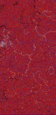     NOAA 18 