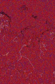     NOAA 18 