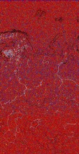     NOAA 18 