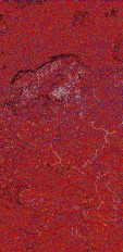     NOAA 18 