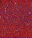     NOAA 18 