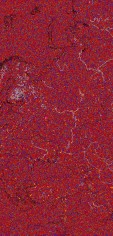     NOAA 18 
