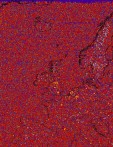     NOAA 18 