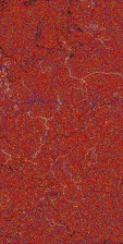     NOAA 18 