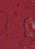     NOAA 18 