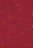     NOAA 18 