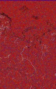     NOAA 18 