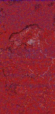    NOAA 18 
