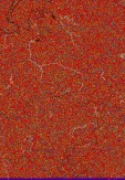     NOAA 18 