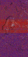    NOAA 18 