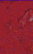     NOAA 18 