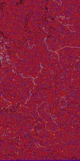     NOAA 18 