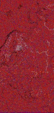     NOAA 18 