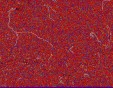     NOAA 18 