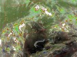     NOAA 19 